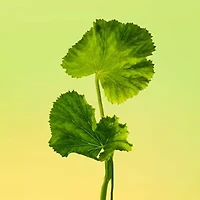 Calvin Klein Eternity For Men Eau De Toilette Cologne