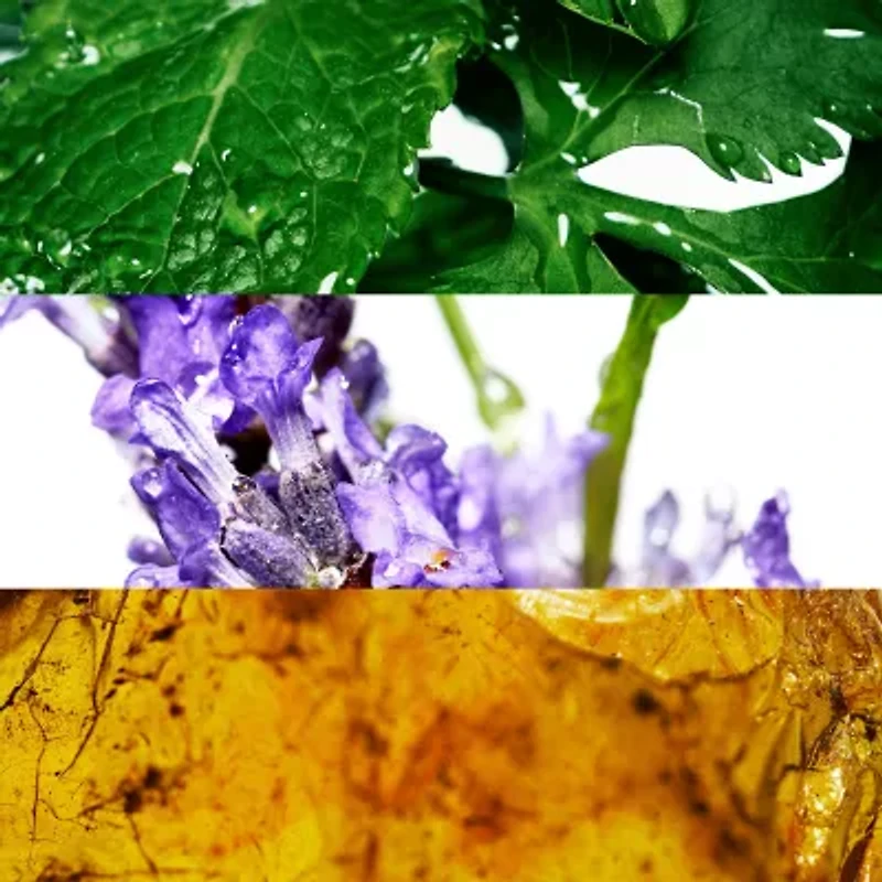 Davidoff Cool Water For Men Eau De Toilette