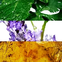 Davidoff Cool Water For Men Eau De Toilette