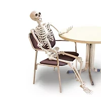 Unisex Adult 60" Posable Skeleton" Costume Accessory