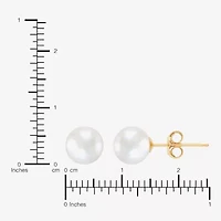 White Cultured Freshwater Pearl 14K Gold 6.5mm Ball Stud Earrings