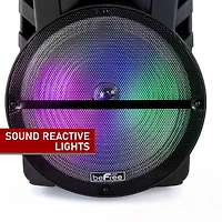 Befree Sound Portable Speaker