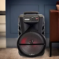 Befree Sound Portable Speaker