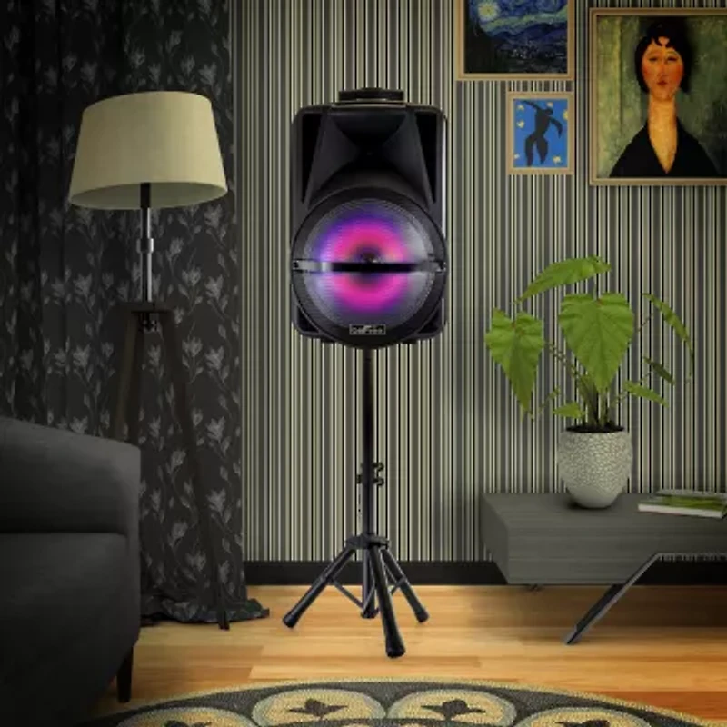 Befree Sound Portable Speaker