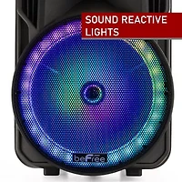 Befree Sound Portable Speaker