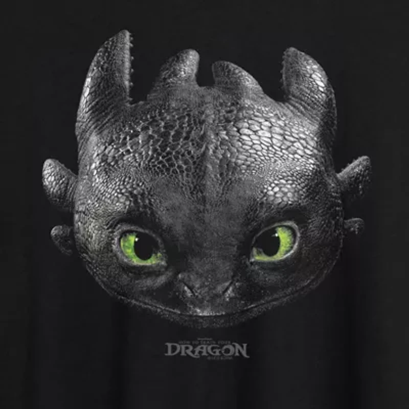How To Train Your Dragon Toothless Tee Womens Crew Neck Short Sleeve Oversized Juniors Graphic T-Shirt