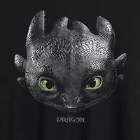 How To Train Your Dragon Toothless Tee Womens Crew Neck Short Sleeve Oversized Juniors Graphic T-Shirt