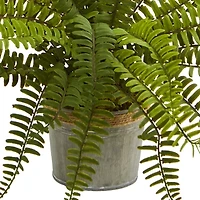 14” Assorted Ferns with Planter Artificial Plant; Set of 3