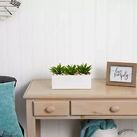 Nearly Natural Agave Succulent In Rectangular Planter Artificial Plant