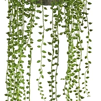 Nearly Natural String Of Pearl Artificial Plant Hanging Basket Artificial Flowers
