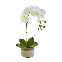 Nearly Natural Phalaenopsis Orchid In Ceramic Pot Artificial Flowers