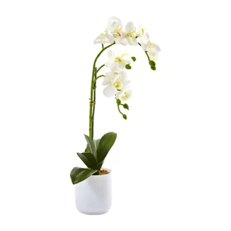 Nearly Natural Phalaenopsis In Frosted Glass Artificial Flowers