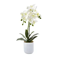 Nearly Natural Phalaenopsis In Frosted Glass Artificial Flowers