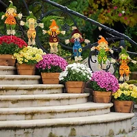 Northlight 24in Fall Scarecrow Picks Thanksgiving Yard Art