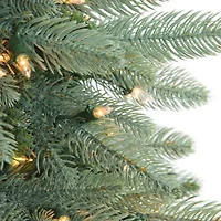 7.5' Pre-Lit Washington Frasier Artificial Christmas Tree - Clear Dura-Lit Lights