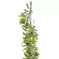 Vickerman 6' Green Olive Hill Garland X 59