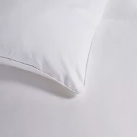Blue Ridge Home Fashions Naples 700 Thread Count Sateen Cotton Down Alternative Comforter