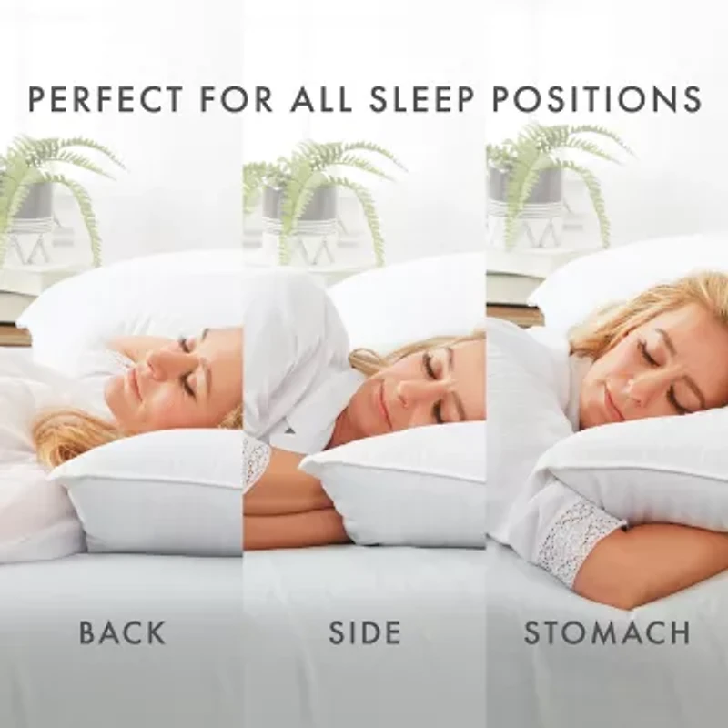 Casual Comfort Plush 2-Pack Bed Pillow