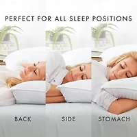 Casual Comfort Plush 2-Pack Bed Pillow