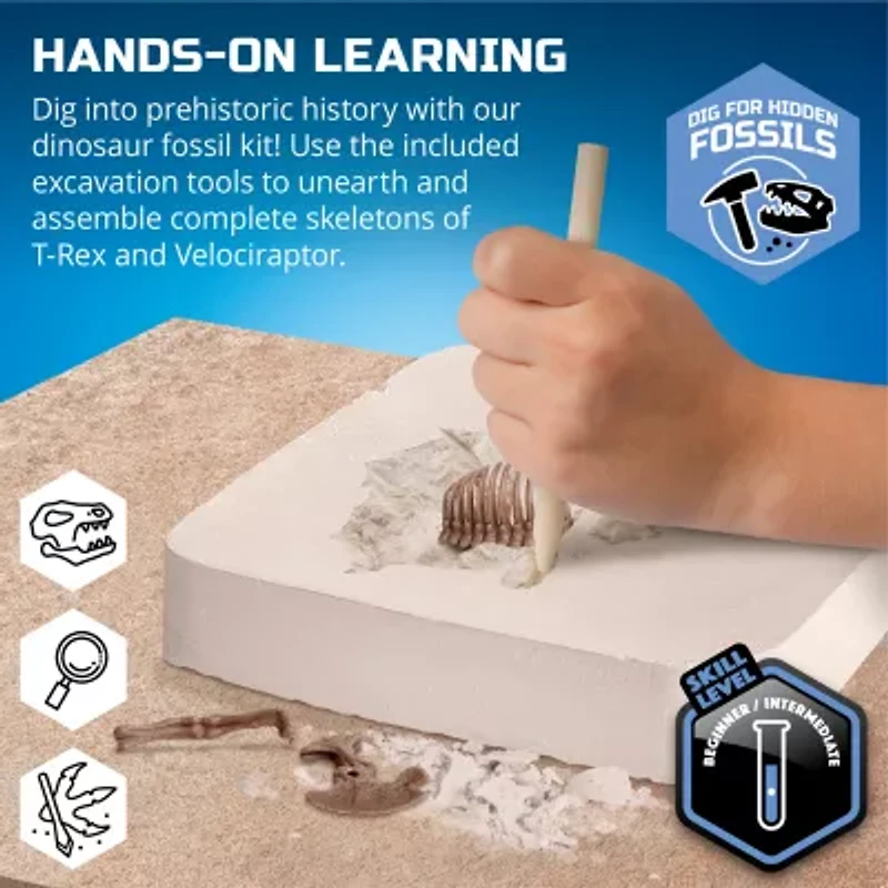 Discovery #Mindblown Dinosaur Fossil Dig 2-Pack Excavation Kit