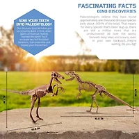 Discovery #Mindblown Dinosaur Fossil Dig 2-Pack Excavation Kit