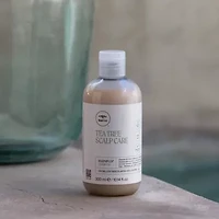 Paul Mitchell Tea Tree Regeniplex Shampoo 10.1 oz.