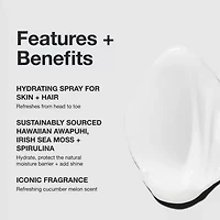 Paul Mitchell Awapuhi Moisture Mist Hair Treatment 8.5 oz.
