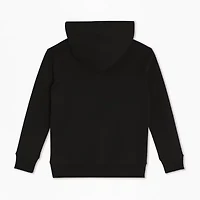 Champion Big Kid Boys Long Sleeve Embroidered Fleece Hoodie