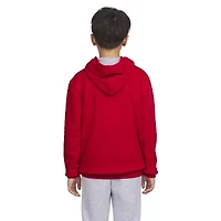 Champion Big Kid Boys Long Sleeve Embroidered Fleece Active Hoodie