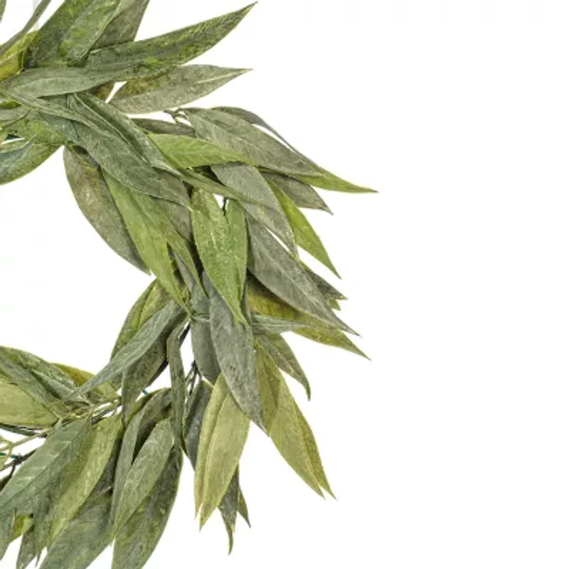 Vickerman 24" Green Muddy White Willow Wreath X 20