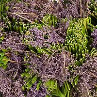 Northlight 14.5in Purple Moss And Green Twig Valentine'S Day Heart Wreath