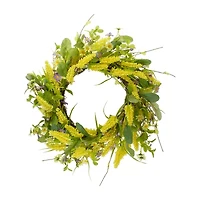 Northlight 25in Daisy And Berry Floral Wreath