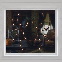 Northlight 15in Black And Orange Lighted Spider Decorative Lantern