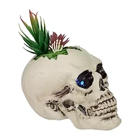 Northlight 8.75in Led Lighted Succulent Skull Lighted Halloween Tabletop Decor