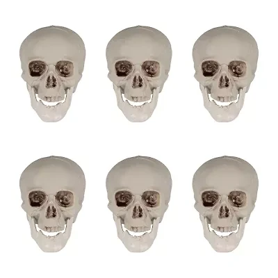 Northlight Skeleton Skulls 6-pc. Halloween Tabletop Decor