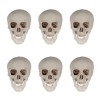Northlight Skeleton Skulls 6-pc. Halloween Tabletop Decor
