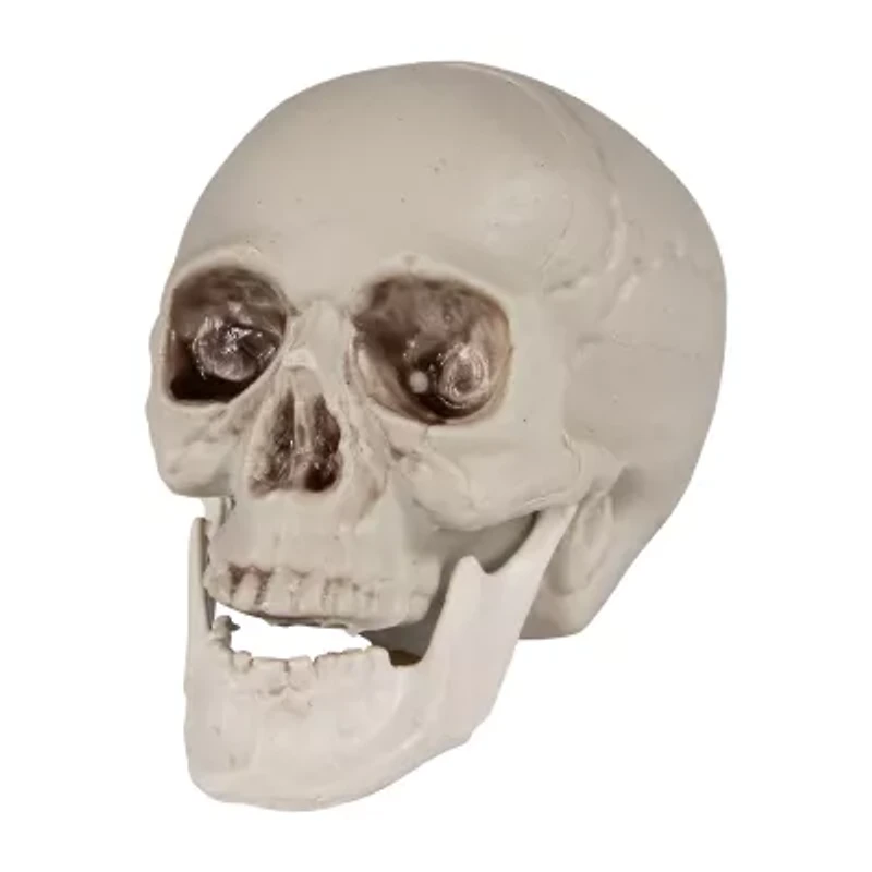 Northlight Skeleton Skulls 6-pc. Halloween Tabletop Decor