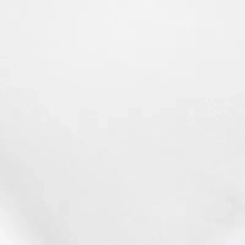 Bodipedic Home Essentials Whisper Quiet Waterproof Mattress Protector
