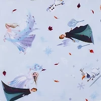 Disney Collection Frozen Frozen Nap Mat