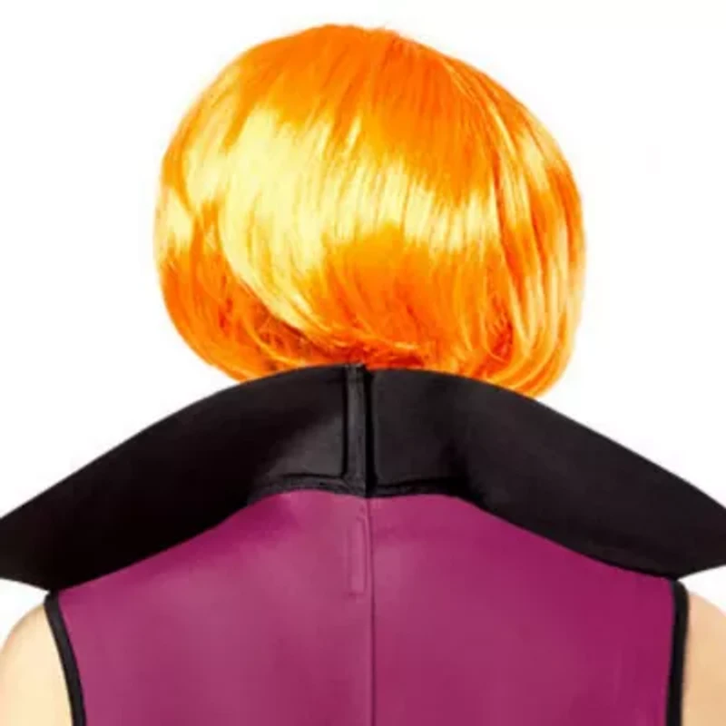 Womens The Jetsons Jane Wig Costume Accessory