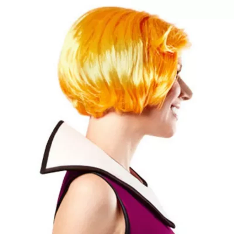Womens The Jetsons Jane Wig Costume Accessory