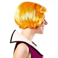 Womens The Jetsons Jane Wig Costume Accessory