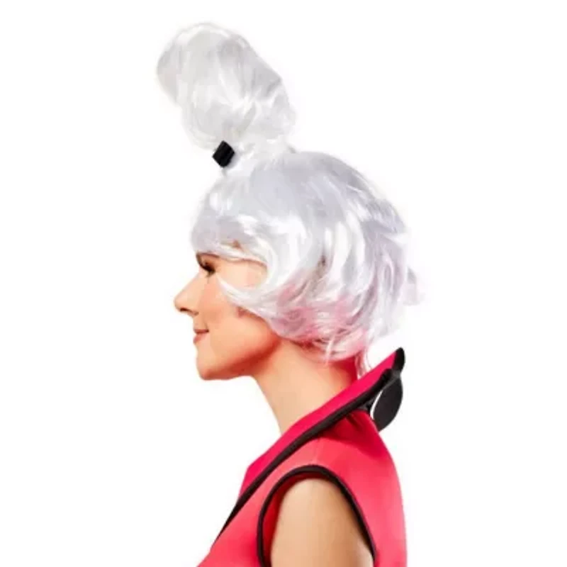 Womens The Jetsons Jane Wig Costume Accessory