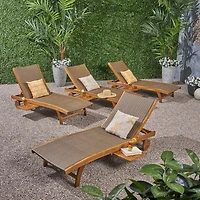 Banzai Adjustable 4-pc. Lounge Chair