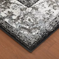 Amer Rugs Alexandria Cheally Indoor Rectangular Area Rug