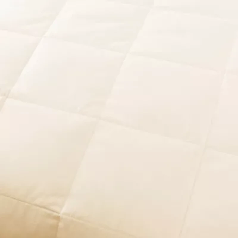 St. James Home Constance 233 Thread Count White Duck Down Blanket