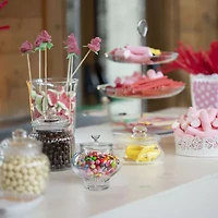 11'' Clear Transparent Segmented Glass Container with Lid