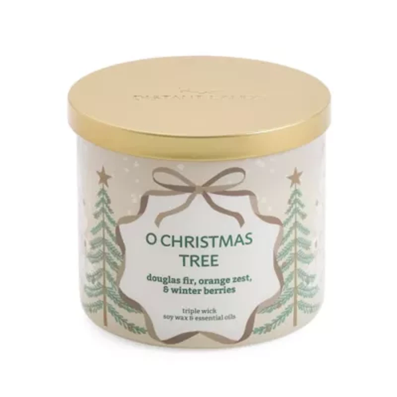Distant Lands Winterberry 3-Wick Scented Jar Candle