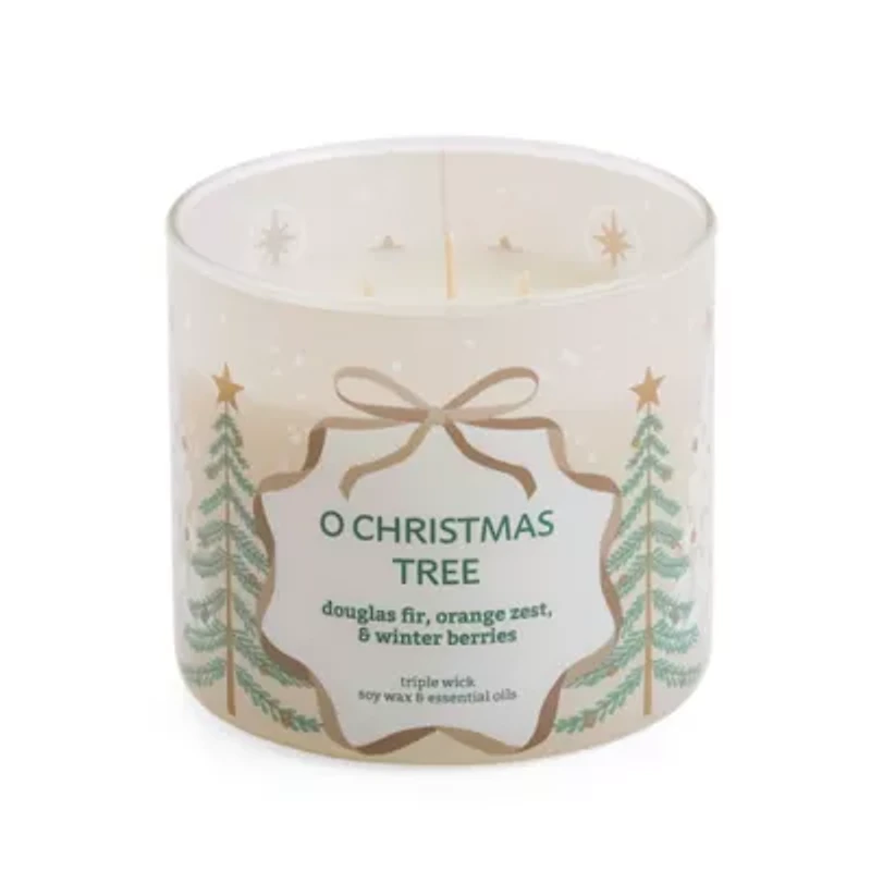 Distant Lands Winterberry 3-Wick Scented Jar Candle