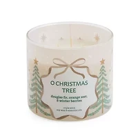 Distant Lands Winterberry 3-Wick Scented Jar Candle
